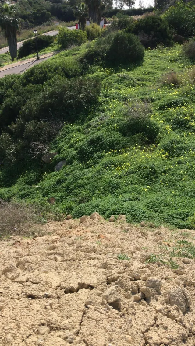 Parcela en venta - Torreguadiaro-San Diego - foto 2