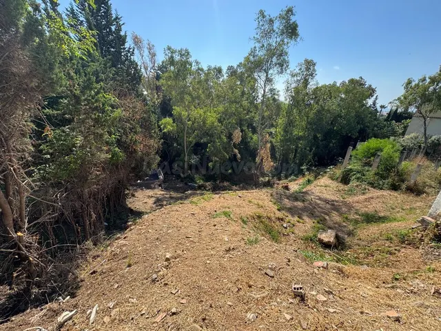 Parcela 350m² en venta - Riviera del sol