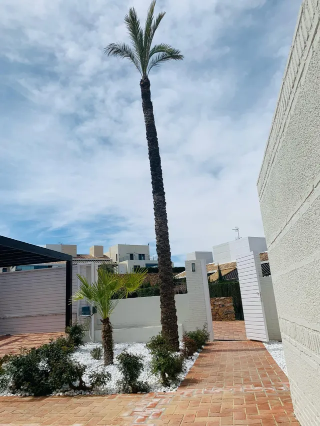 Elegantes adosados de una planta con piscina privada en Peraleja Golf Resort - Costa Cálida — 11