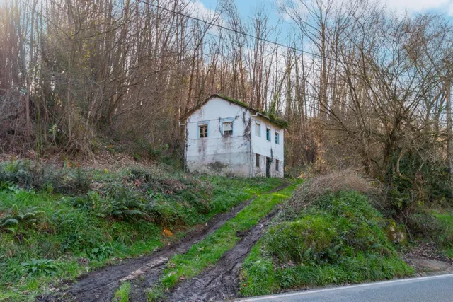 Oportunidad real: casa con parcela para rehabilitar en Tineo — 15
