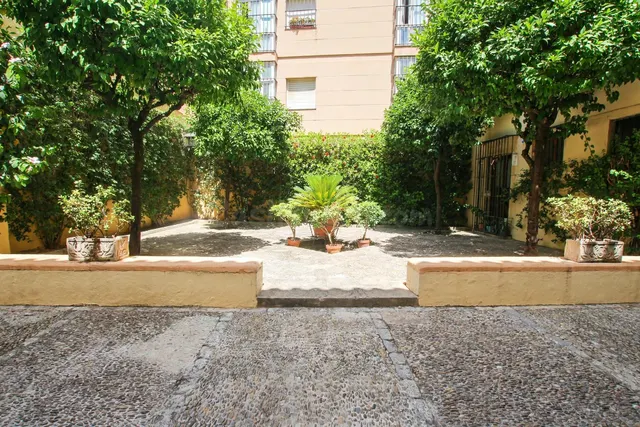 PISO CON 3 PLAZAS DE GARAJE ZONA CENTRO - foto 2
