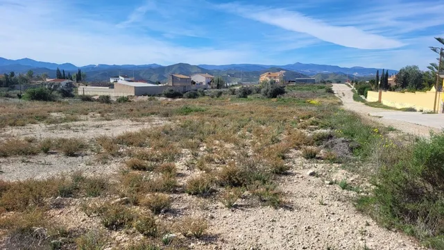 Parcela en Venta en Albox Almería