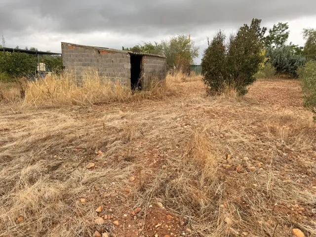 PARCELA EN VENTA – BADAJOZ - foto 2