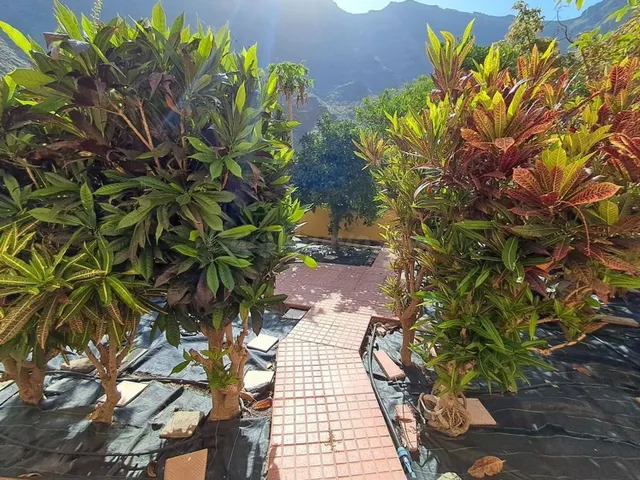 Canarias Paradise Real Estate - Amplia vivienda de 3 dormito - foto 2