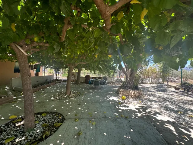 CASA RÚSTICA ALDOVER — 38