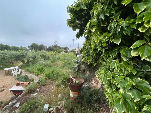 Parcela en venta - Mas Roquer - foto 4