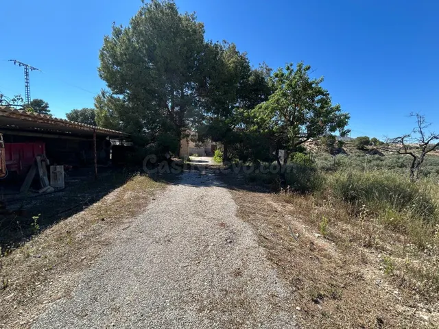 Se vende finca rústica pareada en Monóvar con parcela - foto 5