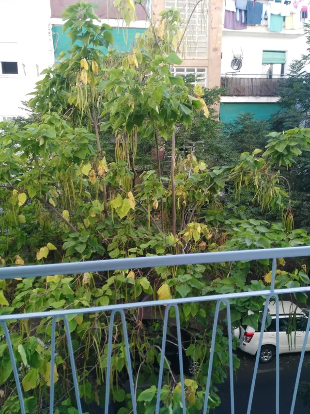 Apartamento en LLopis — 13
