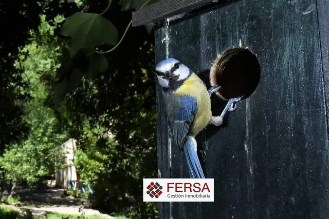 PRECIOSA CASA RURAL EN BENAMAHOMA — 33