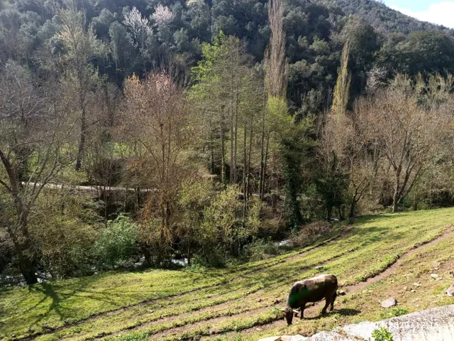Terreno urbano con proyecto incluido — 26