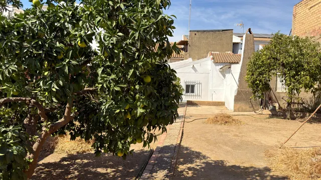 ¡gran oportunidad en Beas! auténtica casa de pueblo con entrada y salida a dos calles ✨ — 38
