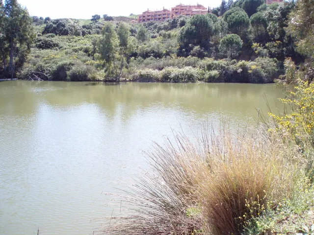 Parcela en venta - Riviera del sol - foto 2