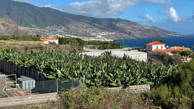 OPORTUNIDAD ÚNICA: GRAN FINCA DE 31.000 M2, secciones URBANA - foto 2