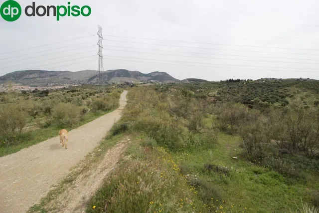 FINCA EN CORTIJO SAN JERÓNIMO (BARTODANO) — 21