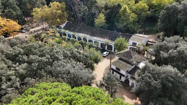 Finca rústica de 9 hectáreas en Arenys de Munt — 2