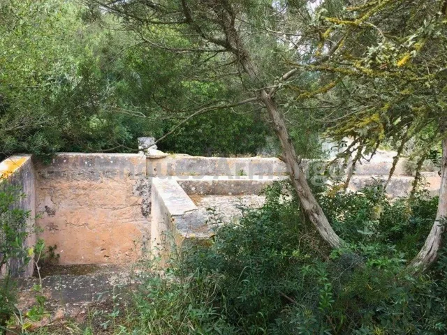 C-7048 GRAN FINCA EN CIUTADELLA — 35