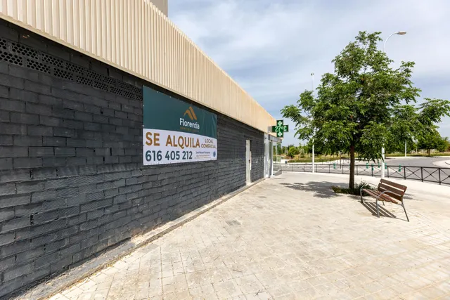 ESPECTACULAR LOCAL COMERCIAL EN GRANADA — 4