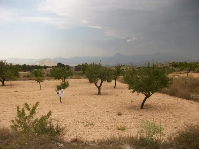 Parcela de 10.000 metros rural — 7