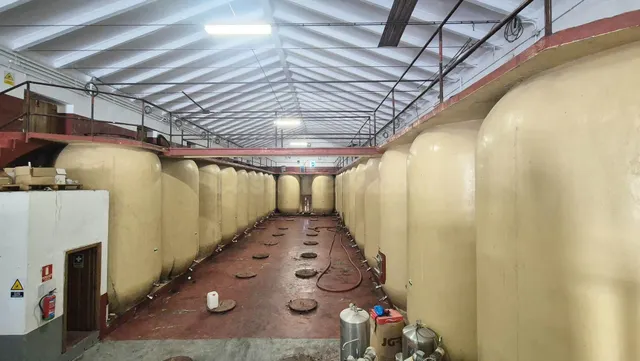 BODEGA VENTA PEREÑA DE LA RIBERA. Urbis te ofrece una bodega - foto 3
