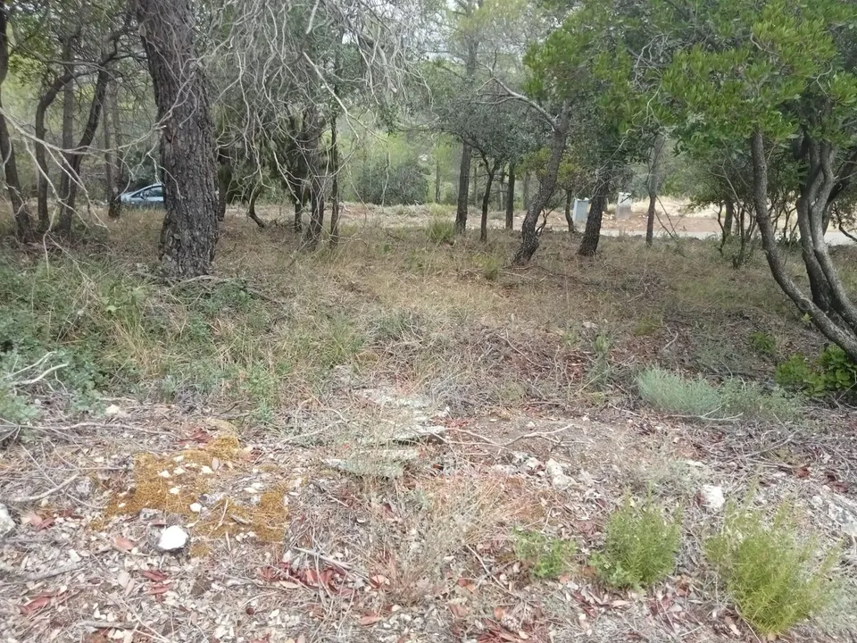 Parcela de 801m2 prácticamente llana, con muy buenas vistas