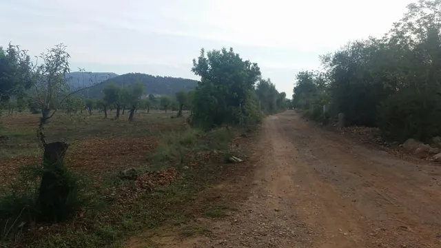Finca con licencia — 3