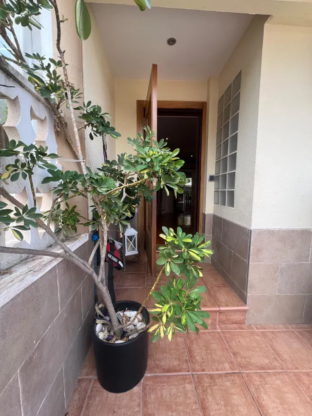 Precioso chalet adosado en santo angel — 37