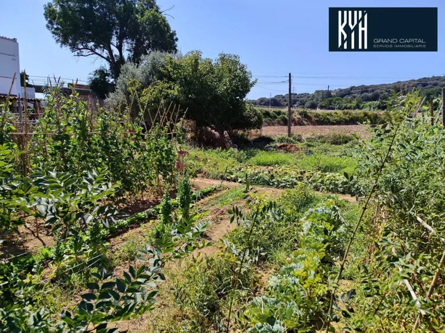 PROYECTO EN MONTFULLÀ — 11
