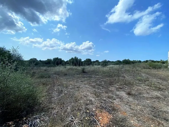 Finca rústica en zona de Ses Salines con proyecto de edifica - foto 5