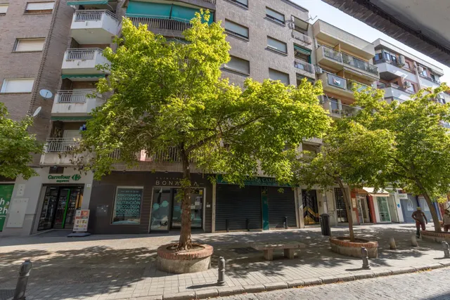 La amplitud que buscas, en el corazón de Granada — 49