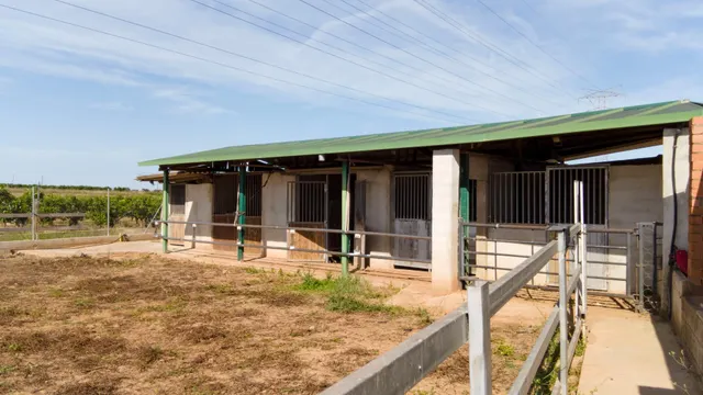 Rancho en Carlet — 24