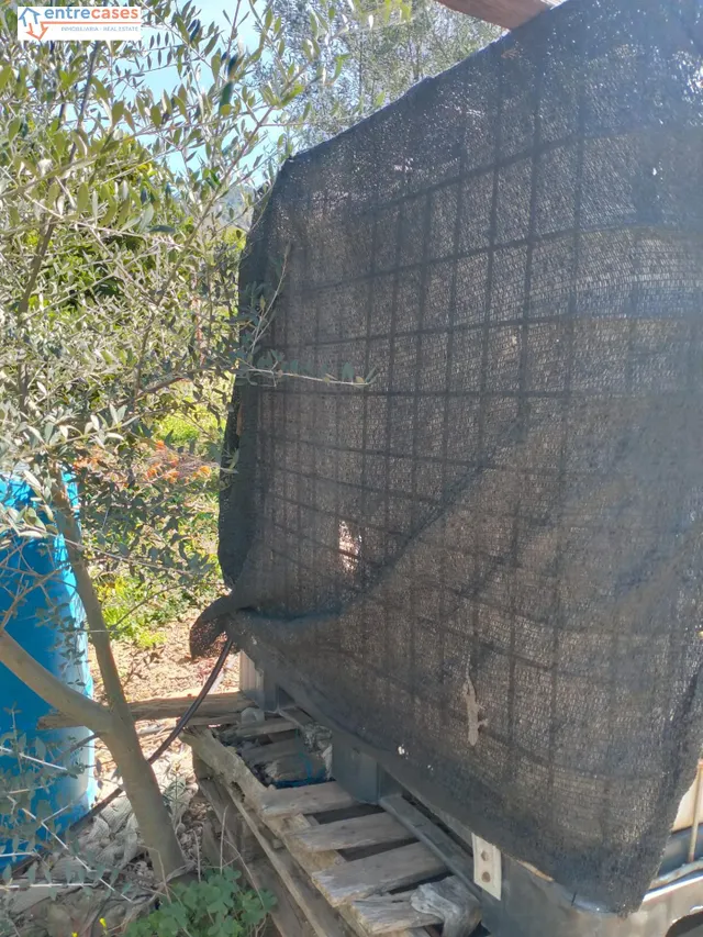 CONJUNTO DE PARCELAS EN PETRÉS - foto 4