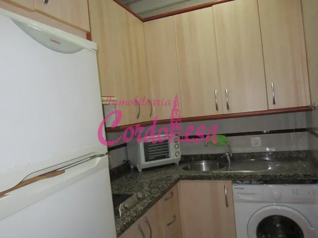 MAGNÍFICO APARTAMENTO JUNTO AL CORTE INGLÉS — 5