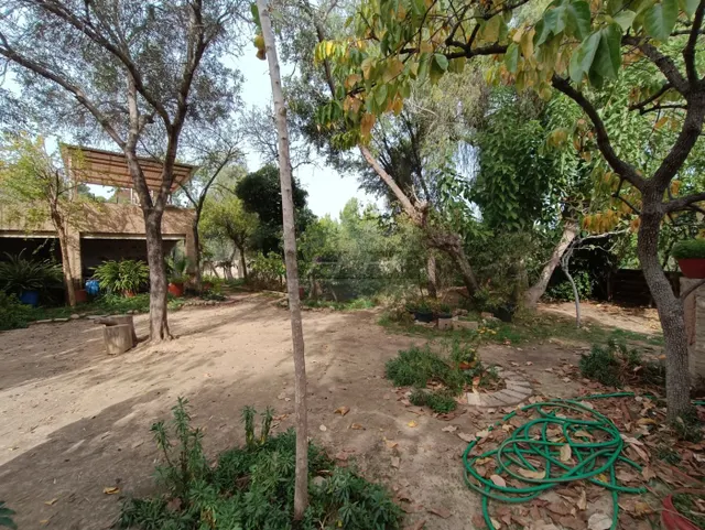 Parcela urbanizable en Campolivar. / HH Asesores, Inmobiliaria en Burjassot/ — 2