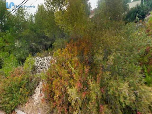 Fantástica Parcela en Can Suria Olivella - foto 5