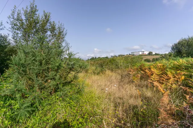 Venta de terreno el Campon - foto 3