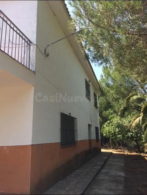 Finca de 7 Hectáreas con casa de campo en la Montaña - foto 5