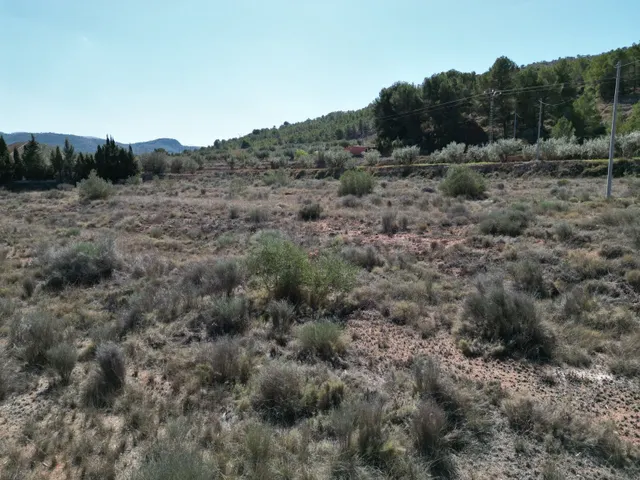 Terreno en venta en Pinoso, Alicante | Parcela rústica - foto 3