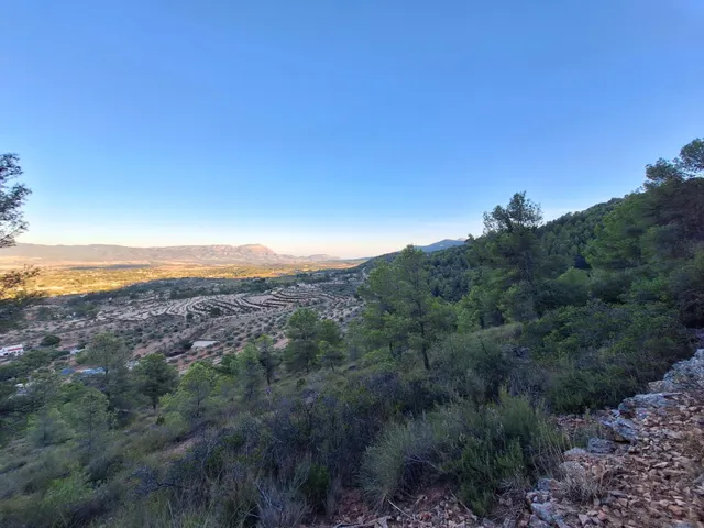 Finca rústica forestal en venta con vistas panoramicas · Castalla (Alicante) — 17