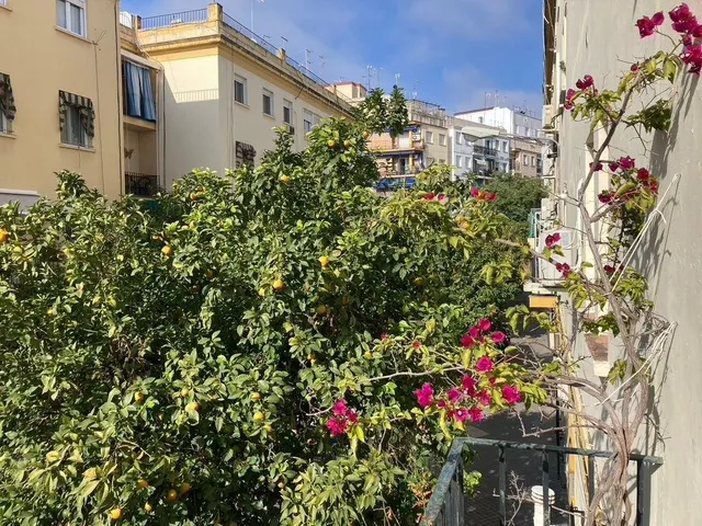 Se vende piso en Ciudad Jardín — 7