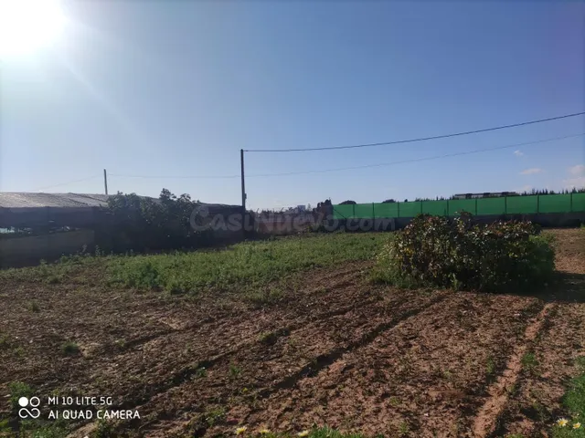 Terreno rural 25m² en venta - Carretera Sanlucar - foto 2