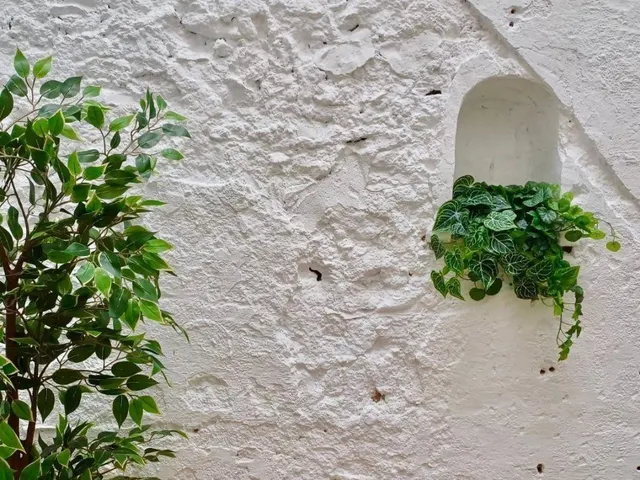 Se vende planta baja en Almussafes, Valencia — 17