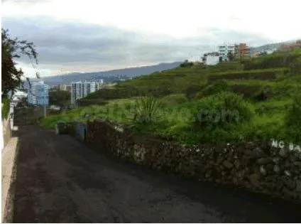 Terreno urbano en venta en Los Realejos - foto 3