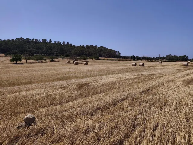 Terreno rural en venta - Porreres - foto 2