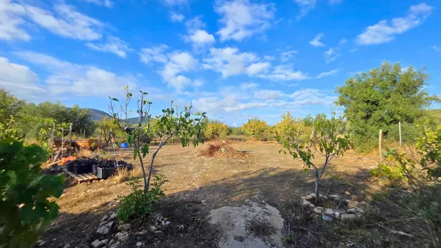 Finca rústica con regadío y construcciones declaradas en Laujar de Andarax (a 2 min del pueblo) — 49