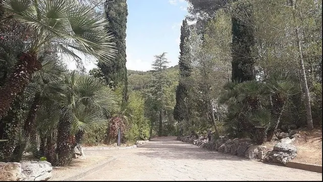 MASIA con permisos para licencia de actividades e HIPICA — 4
