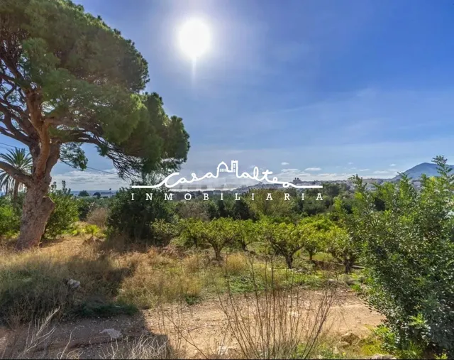 TERRENO EN VENTA EN ALTEA , EL PÍ DEL SENYORET - foto 2