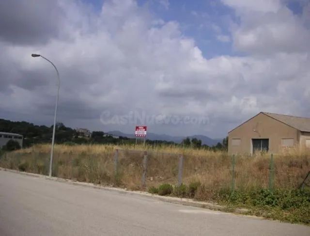 Nave industrial con solar de 5.105 m2 en Massanet de la Selv - foto 4