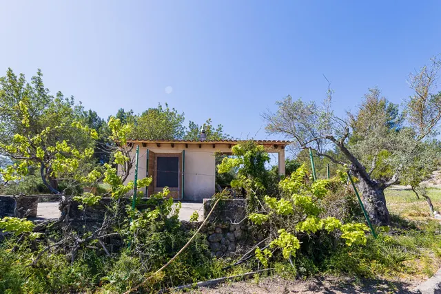 SE VENDE FANTASTICA FINCA RÚSTICA CON 35.000M2 DE TERRENO EN CALVIÀ — 41