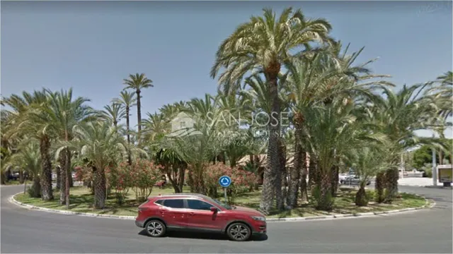 SOLAR PARA CONSTRUCCION CON VISTAS HUERTO DE PALMERAS, ELCHE - foto 4