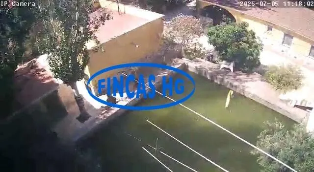 Típica casa tradicional de campo situada sobre terreno URBANO!  de 3900m2 — 40